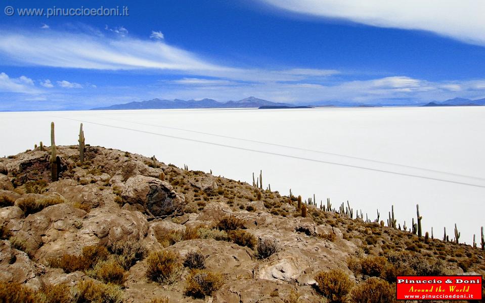 BOLIVIA 2 - Isla Incahuasi - 18.jpg